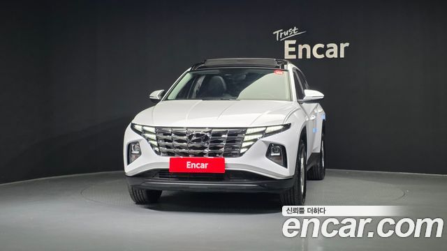Hyundai Tucson (NX4) Diesel 2.0 2WD Modern 2023 — фото 3