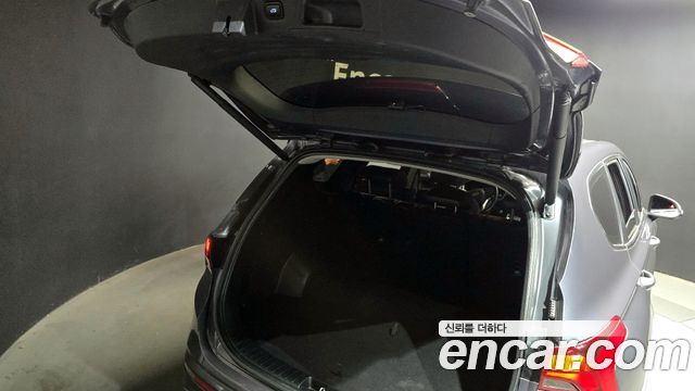 Hyundai Santa Fe Diesel 2.2 2WD Premium Choice 2021 — фото 20