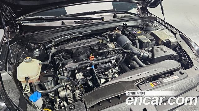 Kia K5 (III) 1.6 Turbo Noblesse 2023 — фото 6