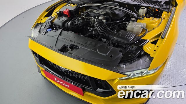 Ford Mustang (VII) 5.0 GT Premium Convertible 2024 — фото 6