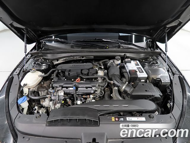 Kia K5 (III) 1.6 Turbo Prestige 2022 — фото 6