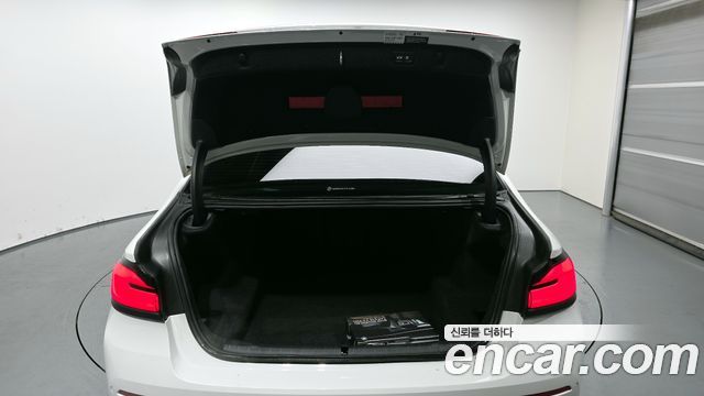 BMW 5 Series (G30) 530i Luxury 2023 — фото 20
