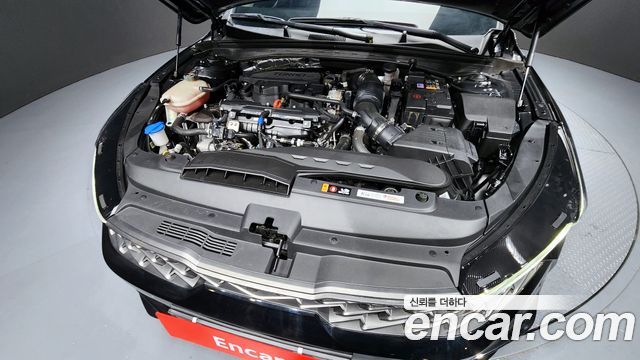 Kia K5 (III) 1.6 Turbo Noblesse 2023 — фото 6