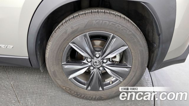 Lexus UX250h 2.0 2WD 2019 — фото 5