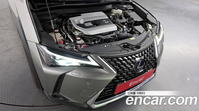 Lexus UX250h 2.0 2WD 2019 — фото 6