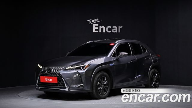Lexus UX300h 2.0 2WD
