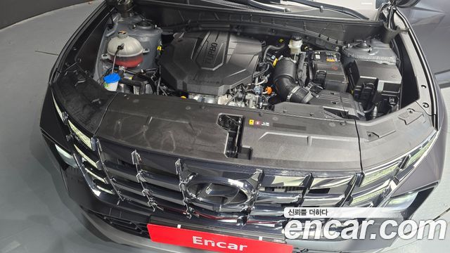 Hyundai Tucson (NX4) Diesel 2.0 4WD N Line Inspiration 2023 — фото 6