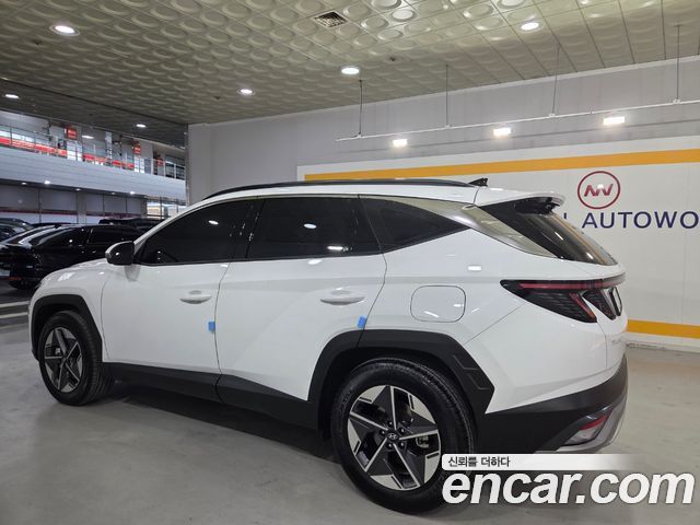 Hyundai Tucson Hybrid (NX4) HEV 1.6 2WD Inspiration 2024 — фото 9