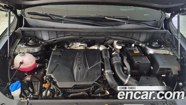 Kia Sorento (IV) Gasoline 2.5T 4WD Noblesse 2025 — фото 6