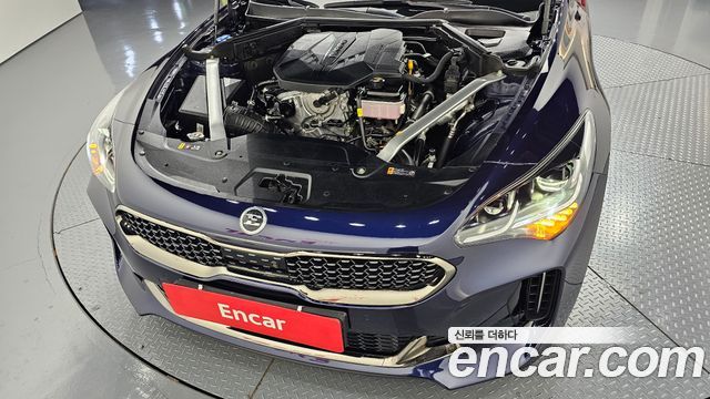 Kia Stinger Meister 2.5 AWD Masters 2021 — фото 6