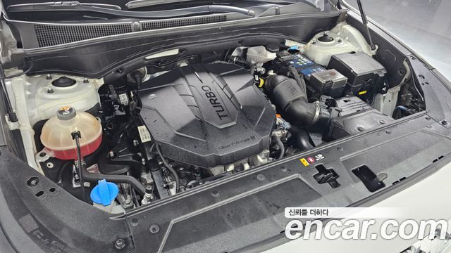 Hyundai Santa Fe Diesel 2.2 2WD Premium Choice 2021 — фото 6