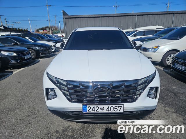 Hyundai Tucson (NX4) Diesel 2.0 2WD Modern 2023 — фото 2