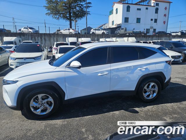 Hyundai Tucson (NX4) Diesel 2.0 2WD Modern 2023 — фото 4