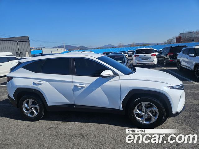 Hyundai Tucson (NX4) Diesel 2.0 2WD Modern 2023 — фото 5