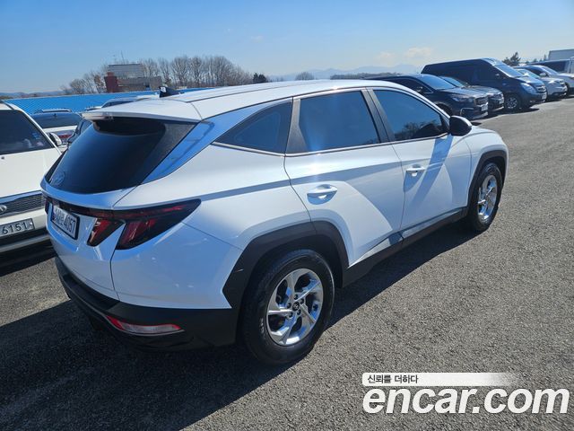 Hyundai Tucson (NX4) Diesel 2.0 2WD Modern 2023 — фото 6
