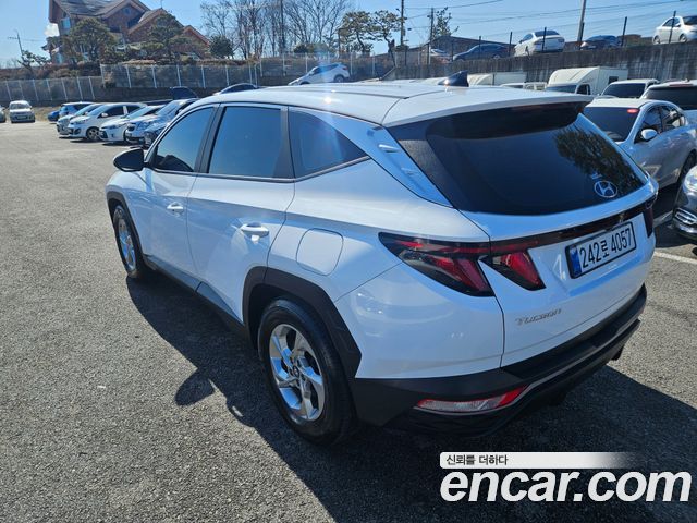 Hyundai Tucson (NX4) Diesel 2.0 2WD Modern 2023 — фото 7