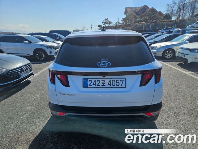 Hyundai Tucson (NX4) Diesel 2.0 2WD Modern 2023 — фото 8