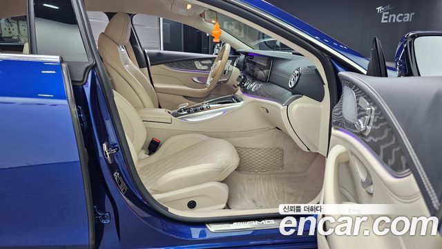 Mercedes-Benz AMG GT 4Door 43 4MATIC+ 2020 — фото 11