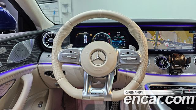 Mercedes-Benz AMG GT 4Door 43 4MATIC+ 2020 — фото 13