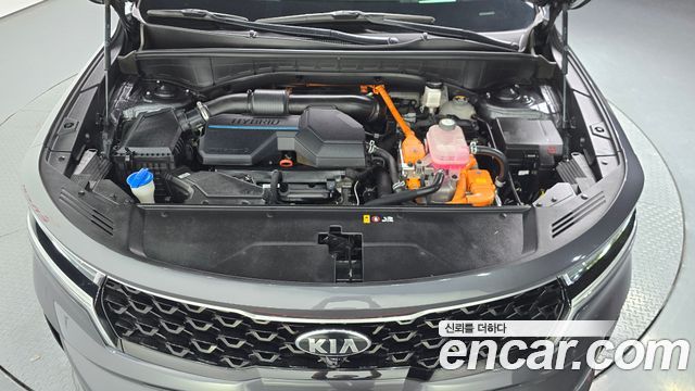 Kia Sorento (IV) HEV 1.6 2WD Signature 2021 — фото 6