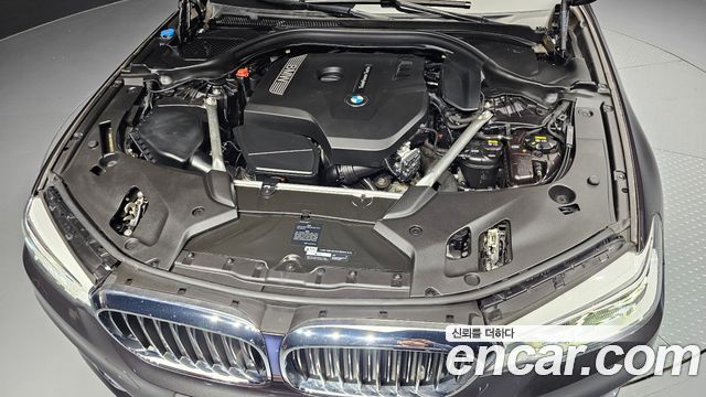 BMW 5 Series (G30) 530i xDrive Luxury Plus 2019 — фото 6
