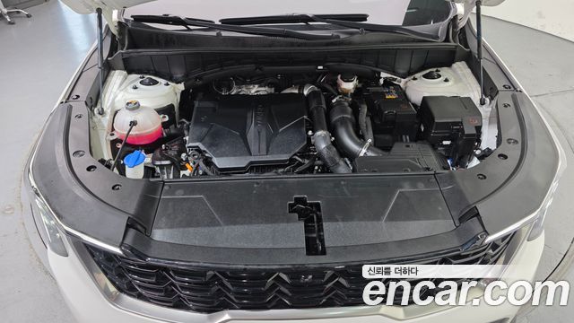 Kia Sorento (IV) Gasoline 2.5T 4WD Signature 2024 — фото 6