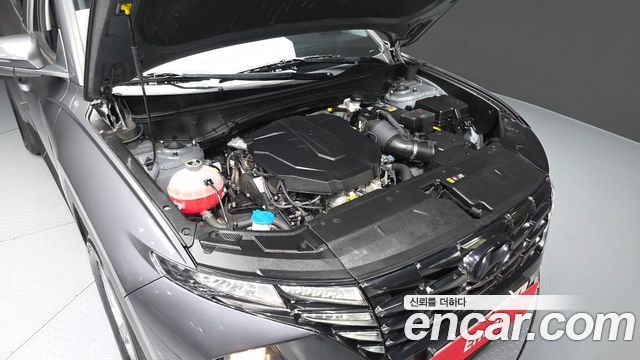 Hyundai Tucson (NX4) Diesel 2.0 2WD Modern 2023 — фото 6