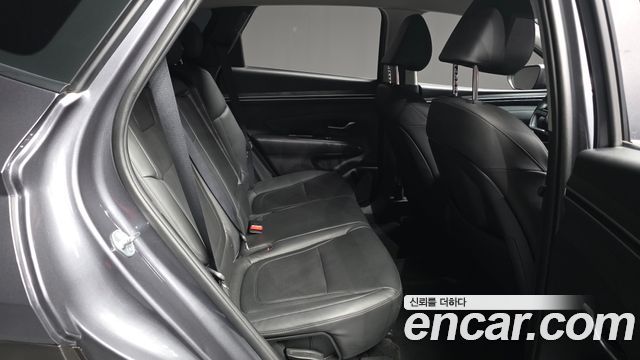 Hyundai Tucson (NX4) Diesel 2.0 2WD Modern 2023 — фото 12