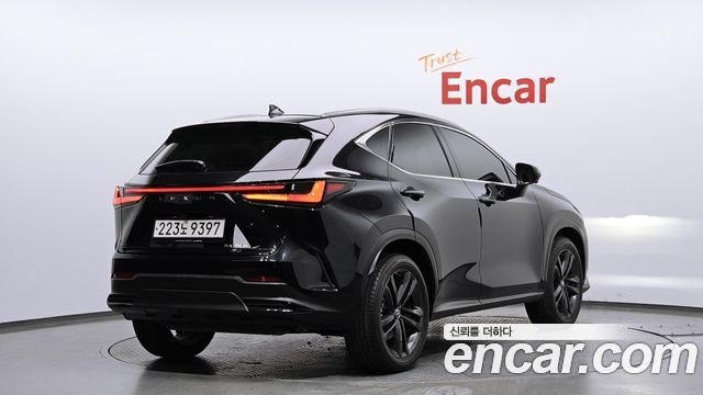 Lexus NX350h (II) Premium 2023 — фото 2