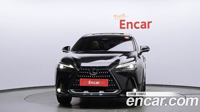 Lexus NX350h (II) Premium 2023 — фото 3
