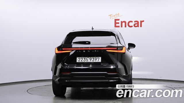 Lexus NX350h (II) Premium 2023 — фото 4