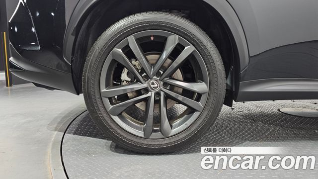 Lexus NX350h (II) Premium 2023 — фото 5