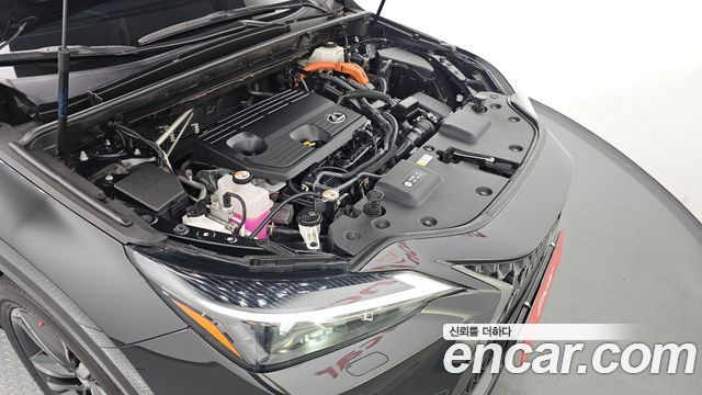 Lexus NX350h (II) Premium 2023 — фото 6