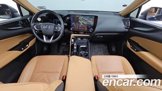 Lexus NX350h (II) Premium 2023 — фото 7