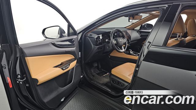Lexus NX350h (II) Premium 2023 — фото 10