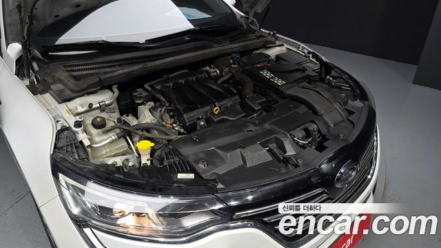 Renault Korea SM6 2.0 LPe SE (Disabled) 2017 — фото 6