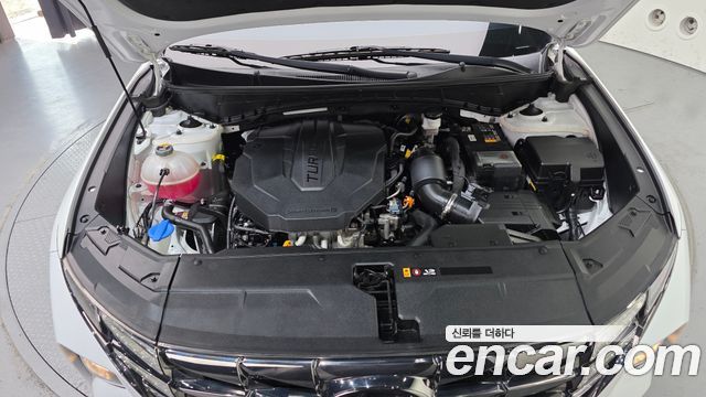 Hyundai Tucson (NX4) Diesel 2.0 2WD Modern 2022 — фото 6