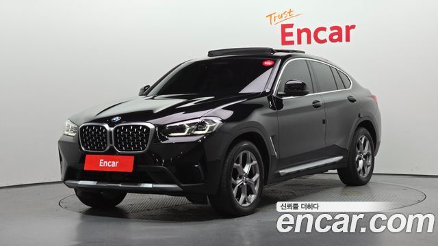 BMW X4 (G02) xDrive20i xLine