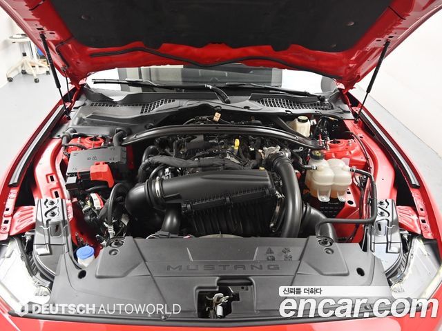 Ford Mustang (VII) 2.3 Ecoboost Premium Convertible 2024 — фото 6