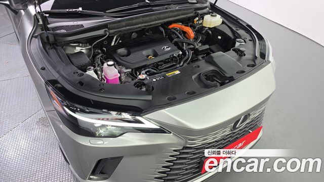 Lexus RX350h (V) Premium 2025 — фото 6