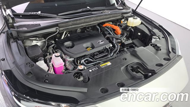 Lexus RX350h (V) Premium 2025 — фото 28