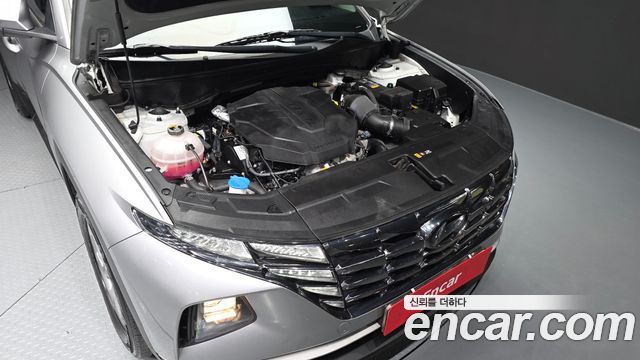 Hyundai Tucson (NX4) Diesel 2.0 2WD Modern 2023 — фото 6