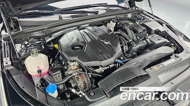 Kia K5 (III) 2.0 Prestige 2023 — фото 6