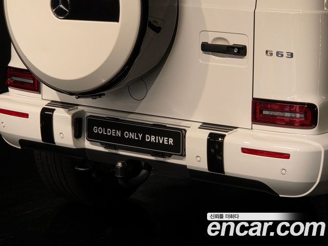 Mercedes-Benz G-Class (W463b) AMG G63 Edition 2021 — фото 19