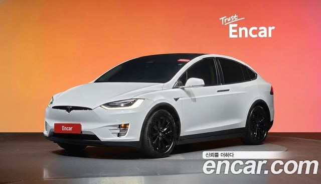 Tesla Model X 100D 2019 — фото 1