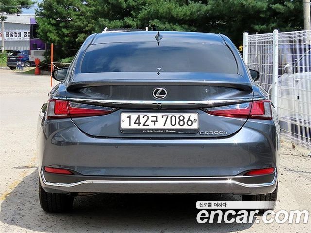 Lexus ES300h (VII) Executive 2023 — фото 4