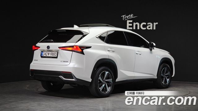 Lexus NX300h Supreme 2019 — фото 2