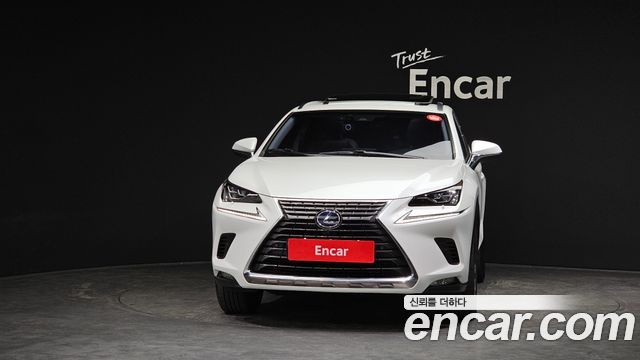 Lexus NX300h Supreme 2019 — фото 3