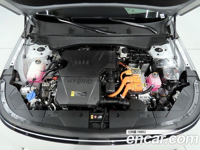 Hyundai Kona Hybrid (SX2) Premium 2023 — фото 23