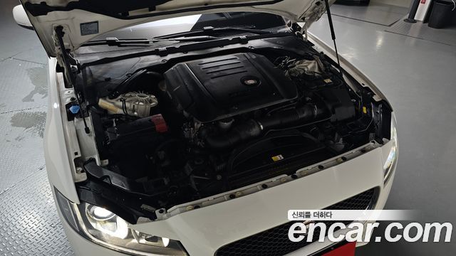 Jaguar XF (X260) 20d Prestige 2017 — фото 6
